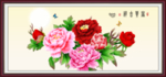 牡丹花