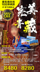 西北西藏旅游海报