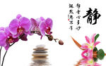 宁静致远电视背景墙