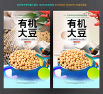 大豆