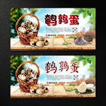 鹌鹑蛋