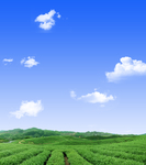 天空