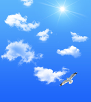 天空