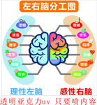 左右脑分工图