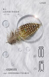 羽毛创意海报