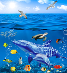 海底世界