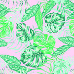 矢量叶子 热带风情 沙滩花型