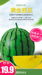 生鲜网络小海报设计黄西瓜