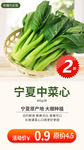 生鲜网络小海报设计菜心