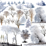 雪树