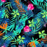 蝴蝶花卉