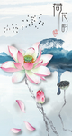 荷花