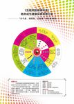 五脏阴阳健康转盘