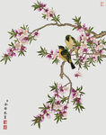花鸟工笔画
