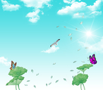 天空