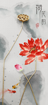 荷花