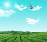 蓝天