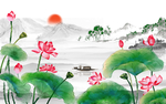 荷花