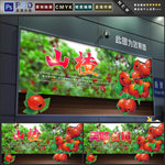 山楂