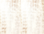 白色木纹