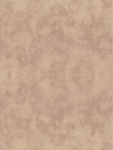 皮纹