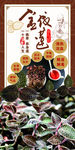 金线莲