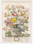 欧式花瓶插画花卉手绘插画装饰画