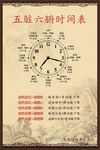 五脏六腑养生时间表平面图