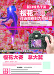 鲜花摄影大赛广告