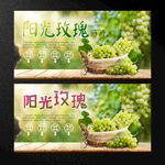 阳光玫瑰