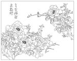牡丹花