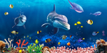 海洋生物