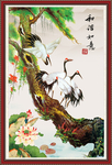 松鹤延年