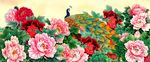 孔雀牡丹