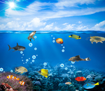 海底世界