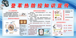 登革热