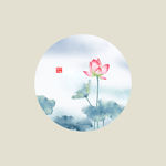 荷花