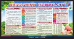 校园安全教育宣传栏