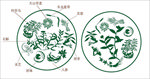 九大仙草组合