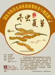 冬虫夏草 手绘中药