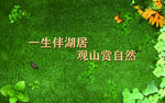 绿植围挡