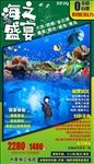 山东青岛大连旅游海洋馆海报图片
