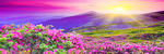 现代简约唯美花海风景装饰画
