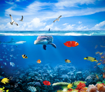 海底世界