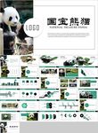 保护动物吃竹子国宝熊猫野生动物