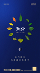 秋分