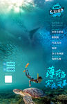 沙丁鱼风暴