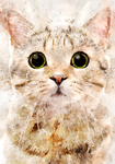 可爱小猫水彩插画