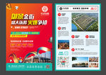 商业街DM海报广告