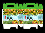 冬枣包装设计